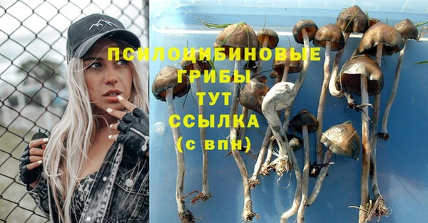 СК Абаза