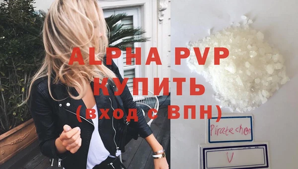 Альфа ПВП Новодвинск