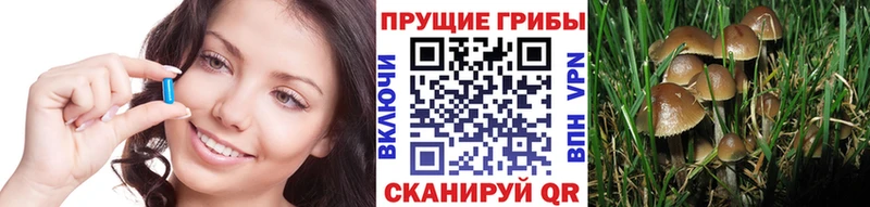 Псилоцибиновые грибы Magic Shrooms  продажа наркотиков  Отрадный 